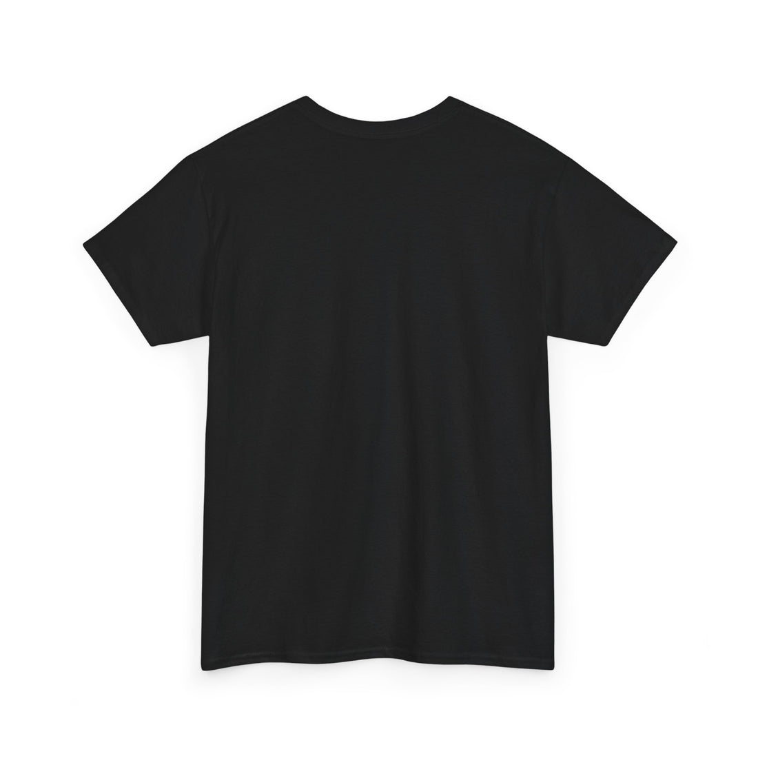 'Delulu Is Solulu' Cute Graphic T-Shirt