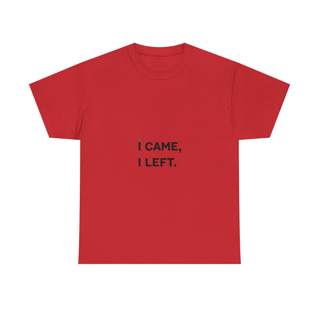 'I Came I Left' Minimalist Sarcastic Graphic T-Shirt