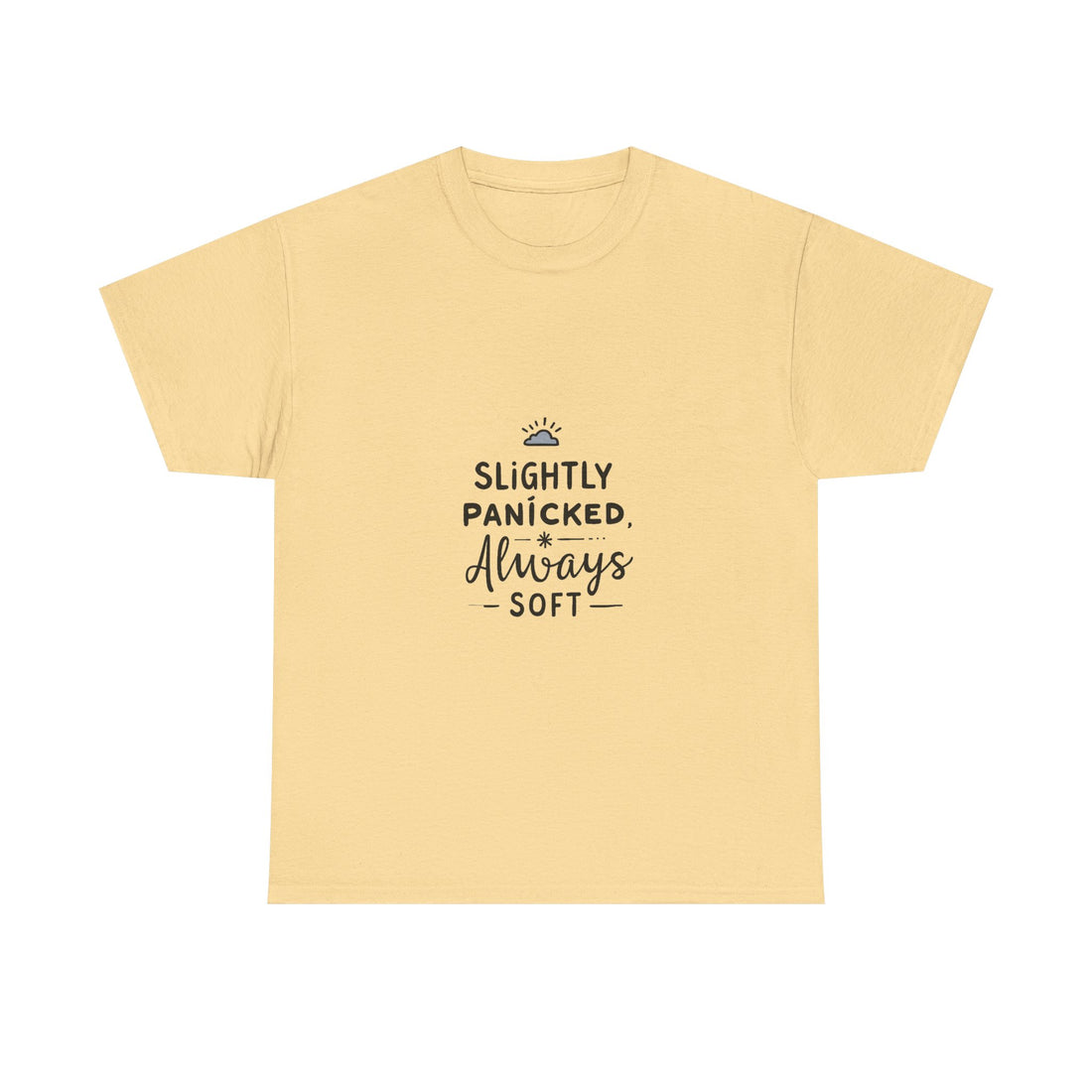 “Slightly Panicked, Always Soft” Minimalist Graphic T-Shirt